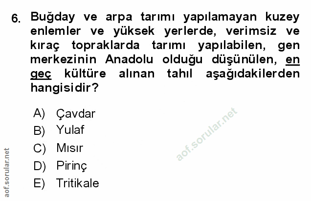 Soru 6
