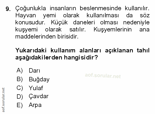 Soru 9