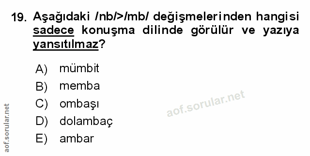 Soru 19