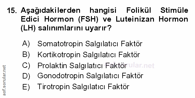 Soru 15