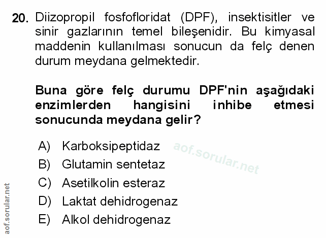 Soru 20