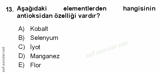Soru 13