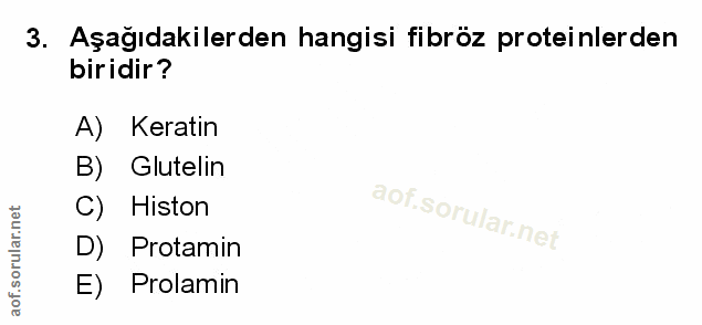 Soru 3