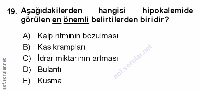 Soru 19