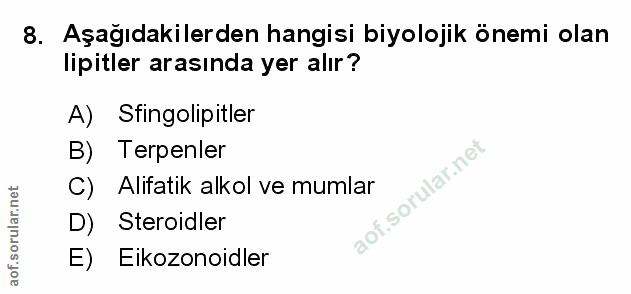 Soru 8