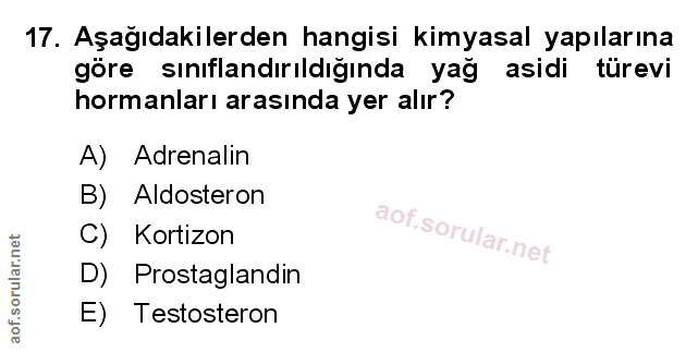 Soru 17