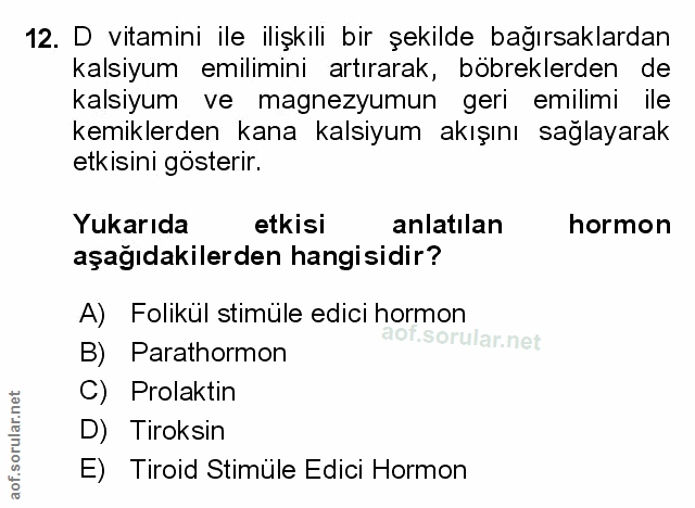 Soru 12