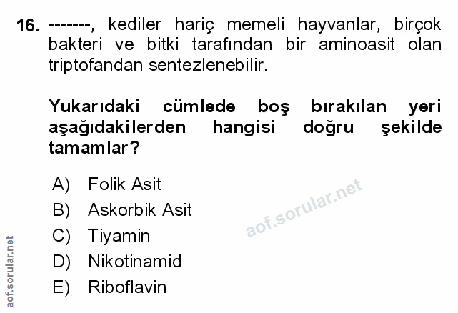Soru 16