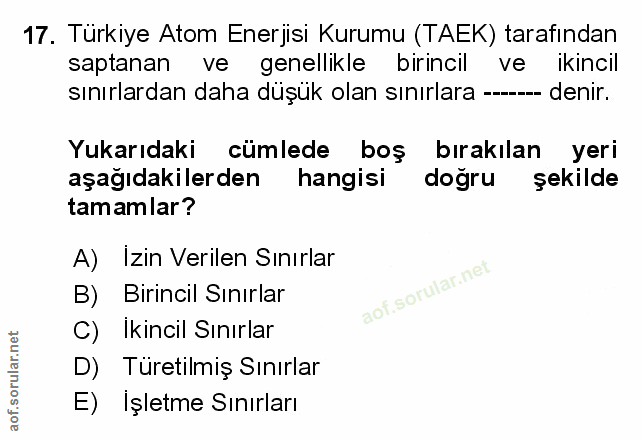 Soru 17
