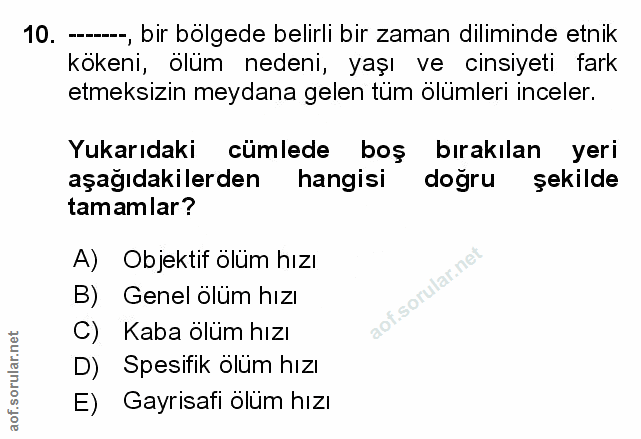 Soru 10