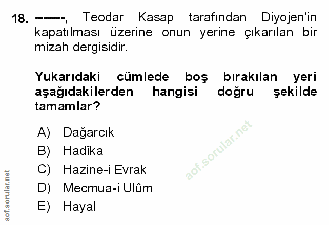 Soru 18