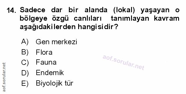 Soru 14