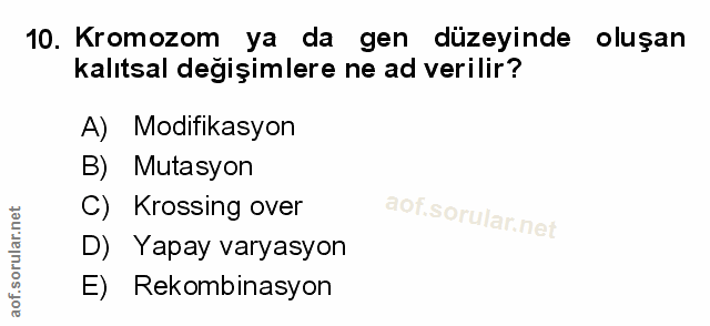 Soru 10