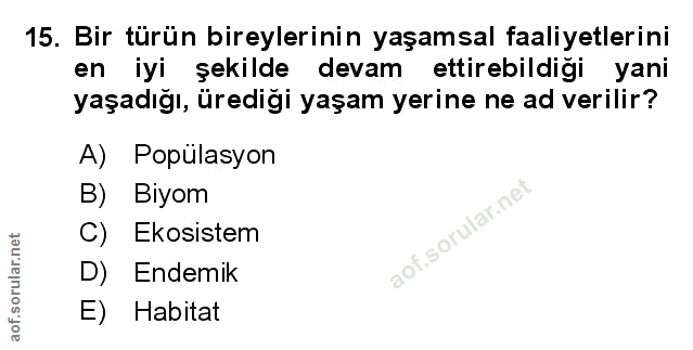 Soru 15