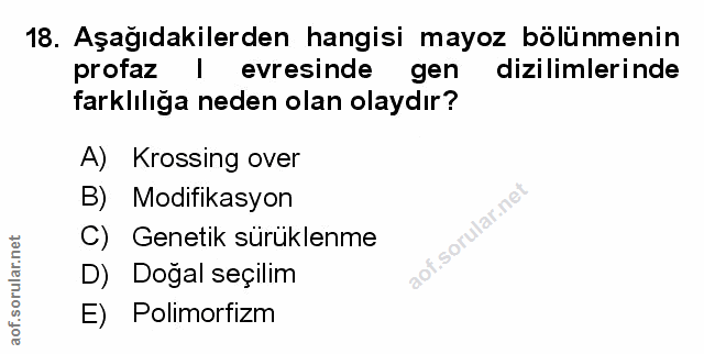 Soru 18