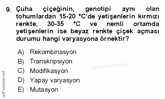 Soru 9