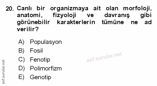 Soru 20