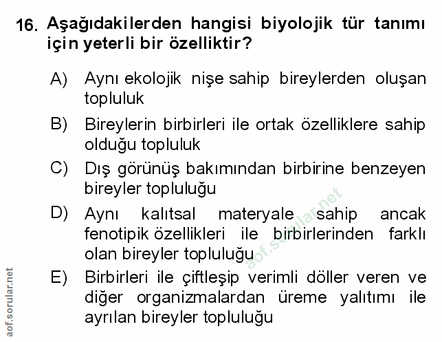 Soru 16