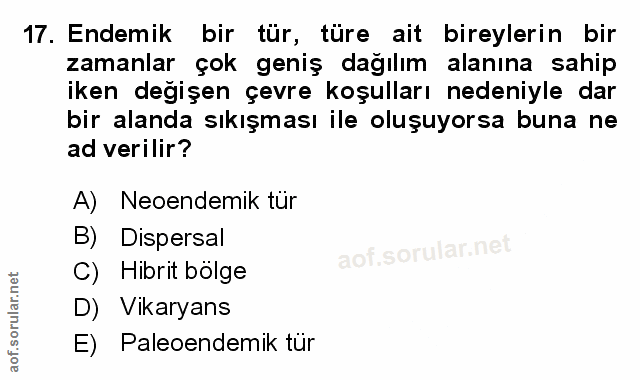 Soru 17