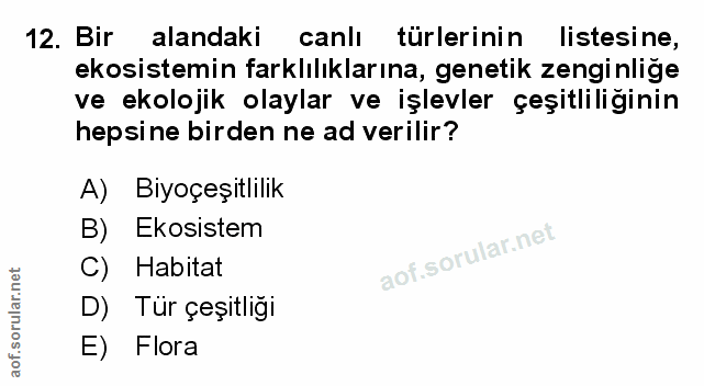 Soru 12