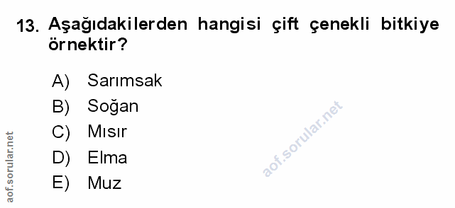 Soru 13