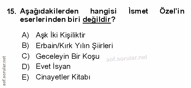Soru 15