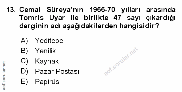 Soru 13