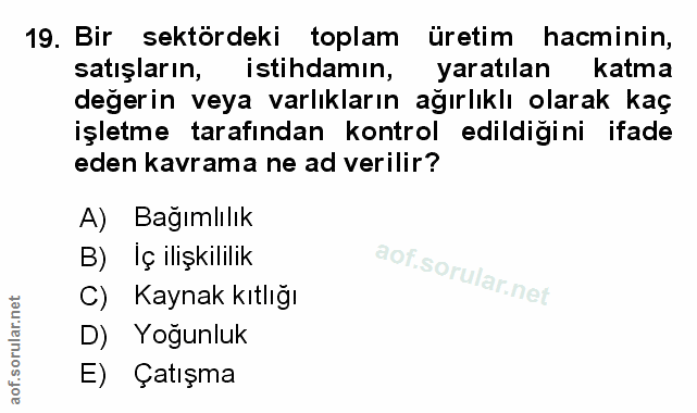 Soru 19