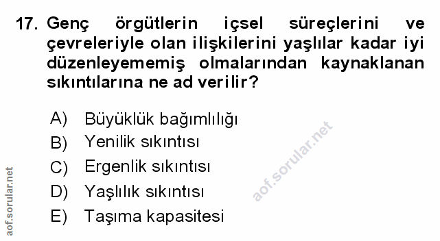 Soru 17
