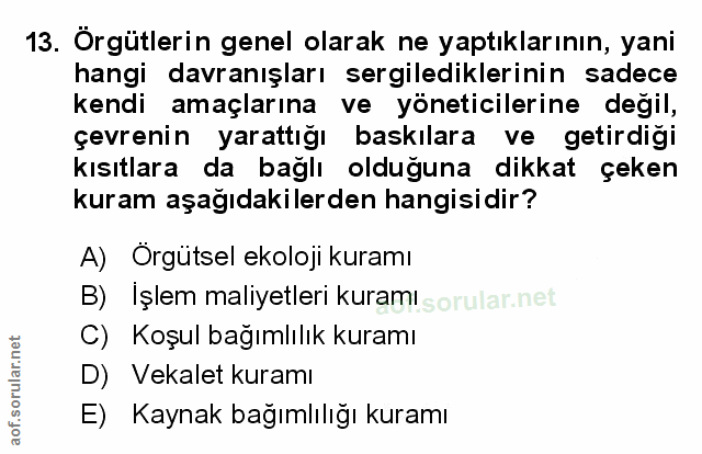 Soru 13
