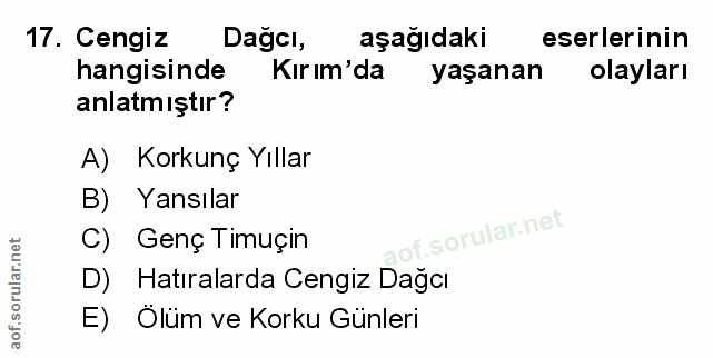 Soru 17