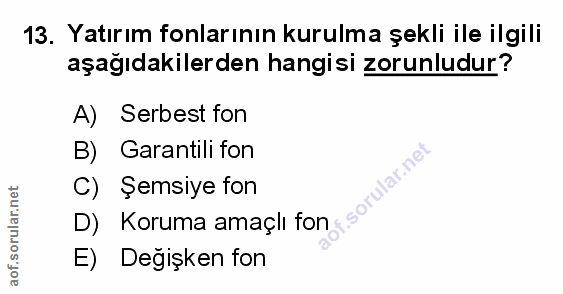Soru 13