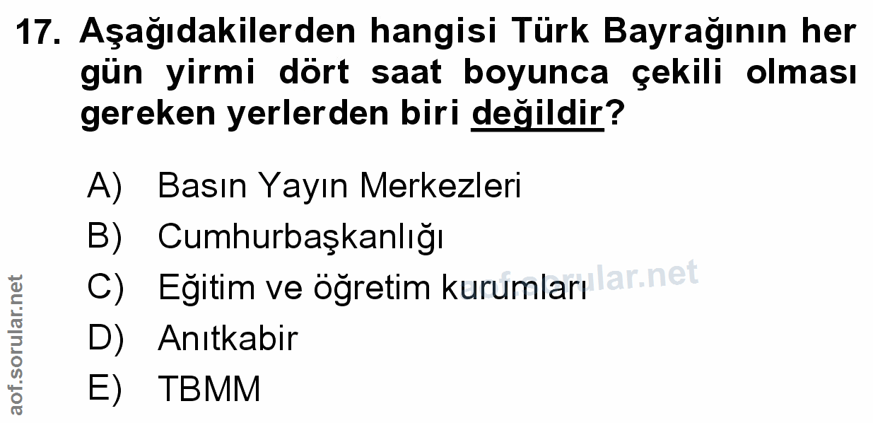 Soru 17