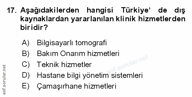 Soru 17