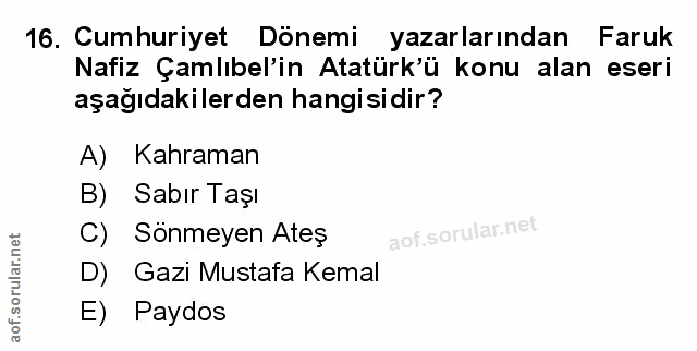 Soru 16