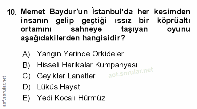 Soru 10