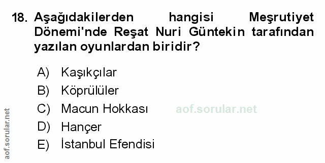 Soru 18