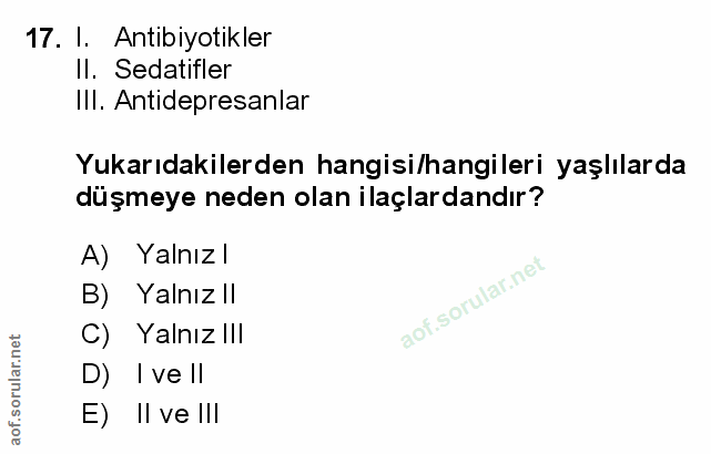 Soru 17