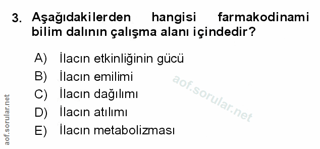 Soru 3