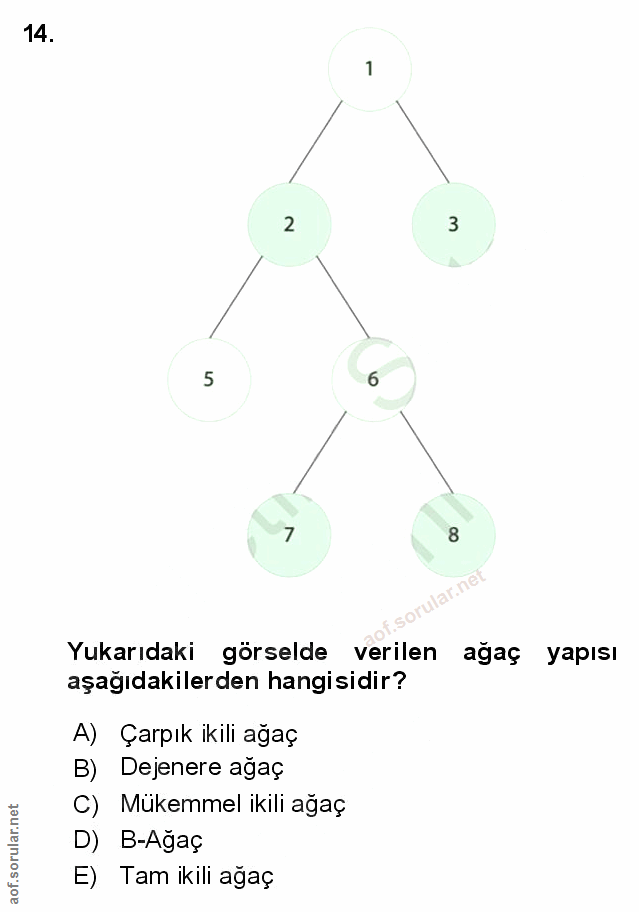 Soru 14