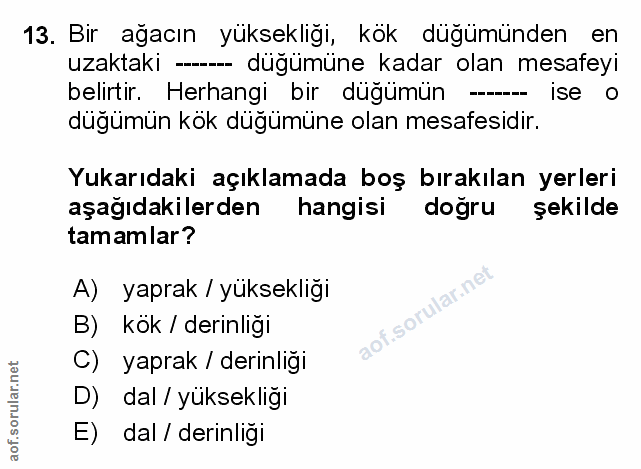 Soru 13