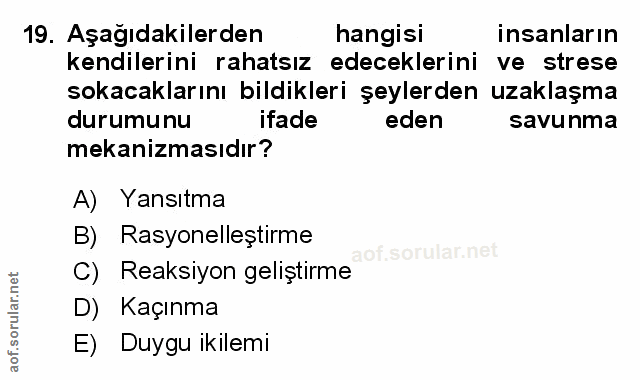 Soru 19