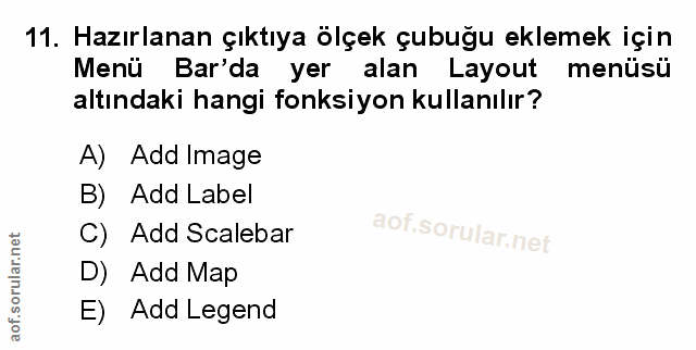 Soru 11