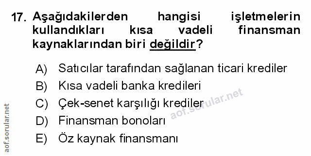 Soru 17
