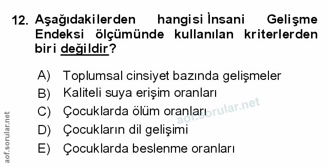 Soru 12