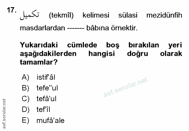 Soru 17