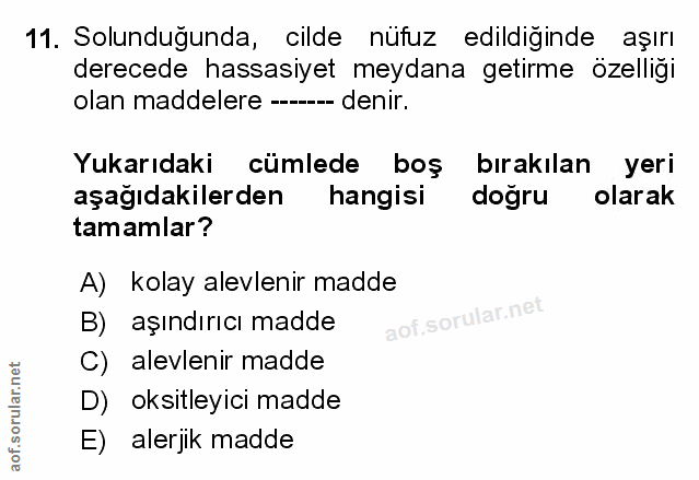 Soru 11