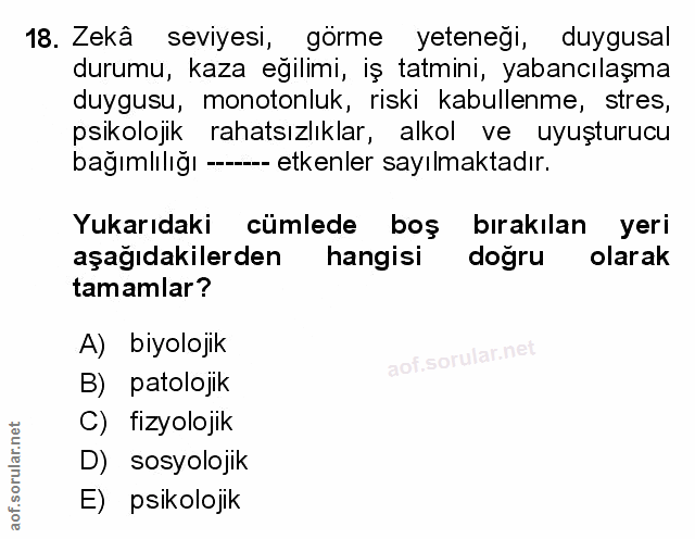 Soru 18