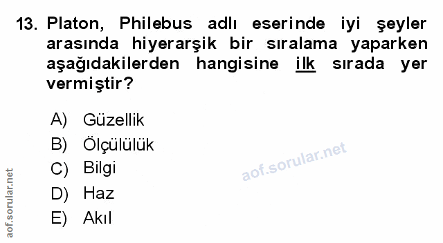 Soru 13
