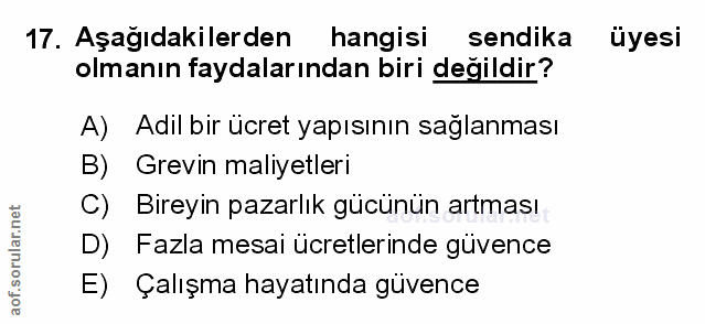 Soru 17